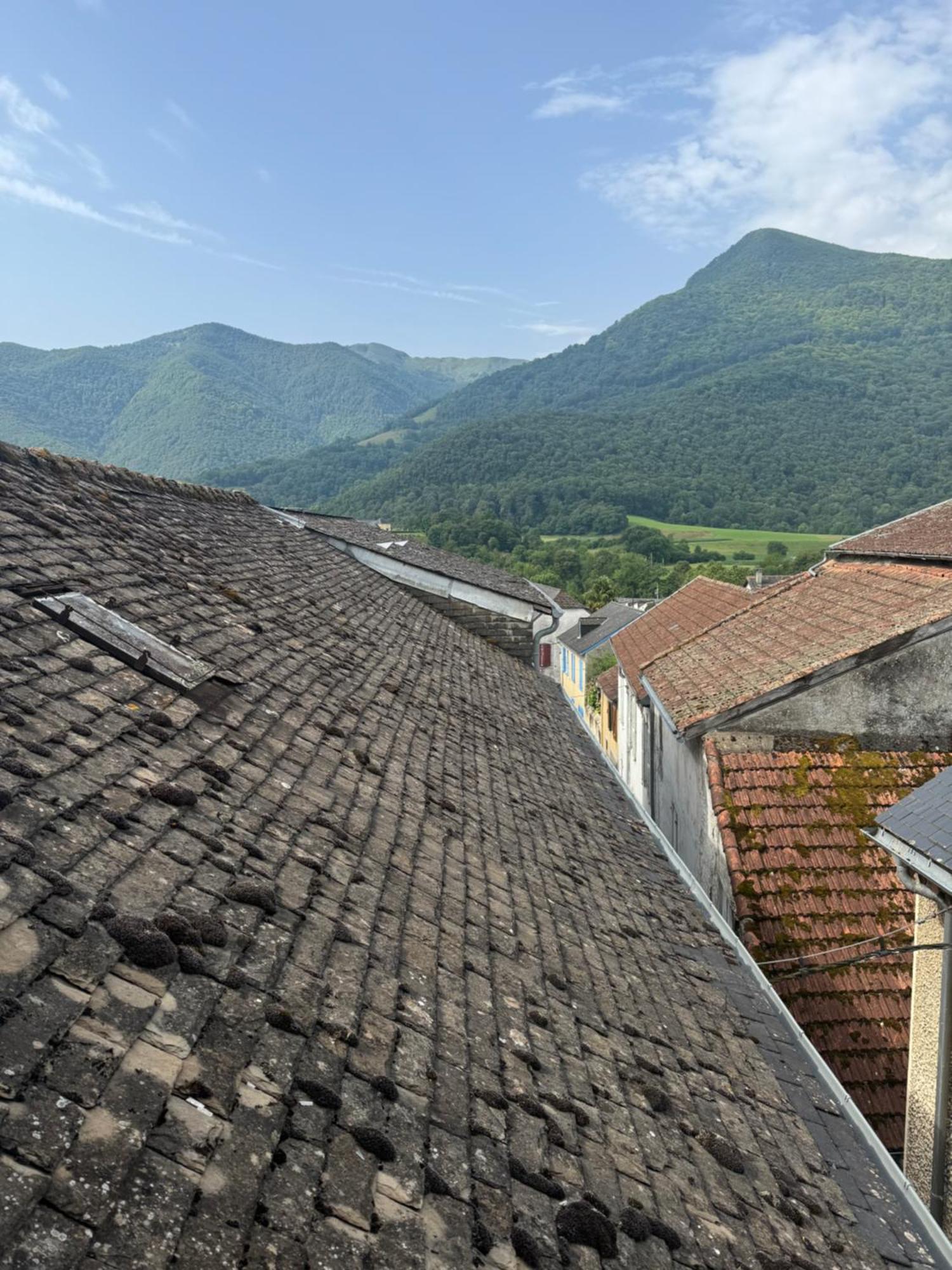 Les Maisons Des Pyrenees - Lourdes Saint-Pé-de-Bigorre Eksteriør bilde